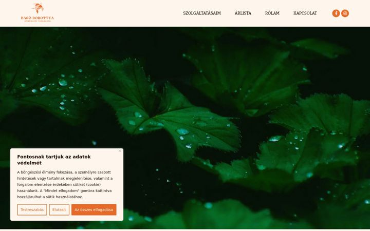 Screenshot of bagodorottya.hu