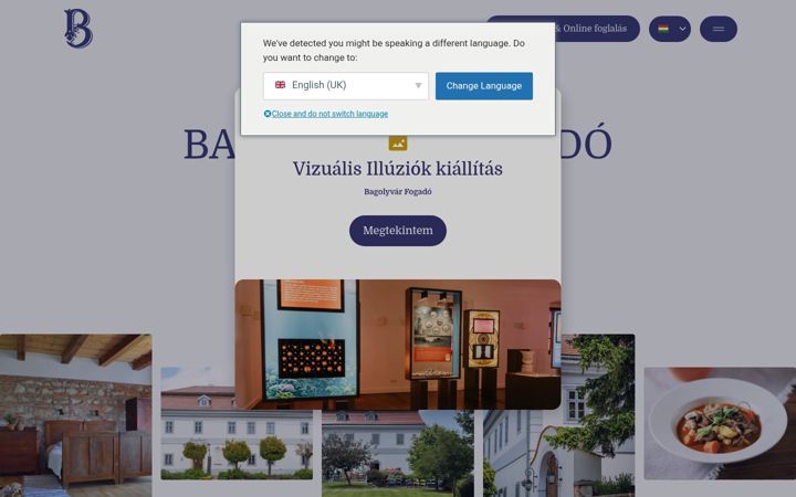 Screenshot of bagolyvarfogado.hu