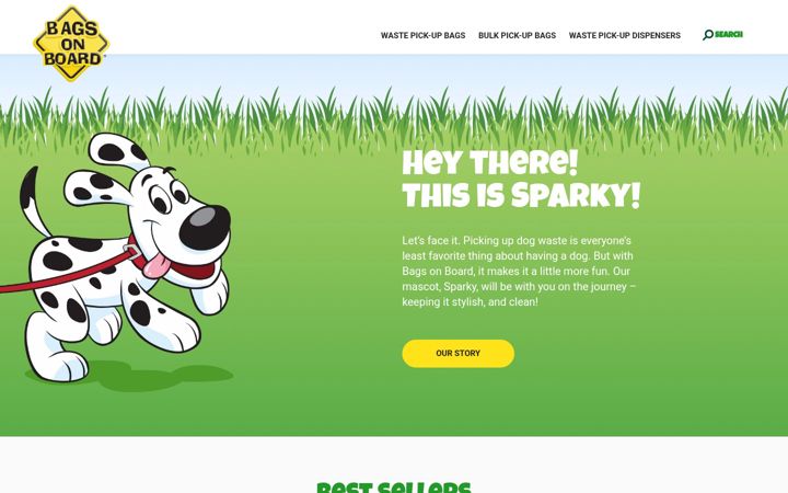 Screenshot of bagsonboard.com