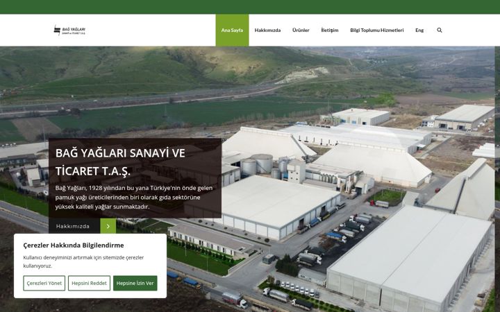 Screenshot of bagyaglari.com
