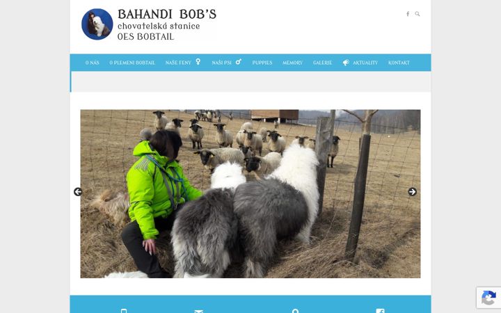 Screenshot of bahandi-bobs.cz