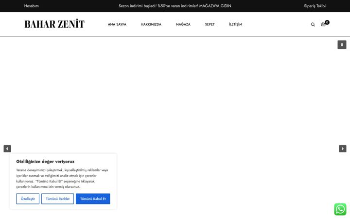 Screenshot of baharzenit.com