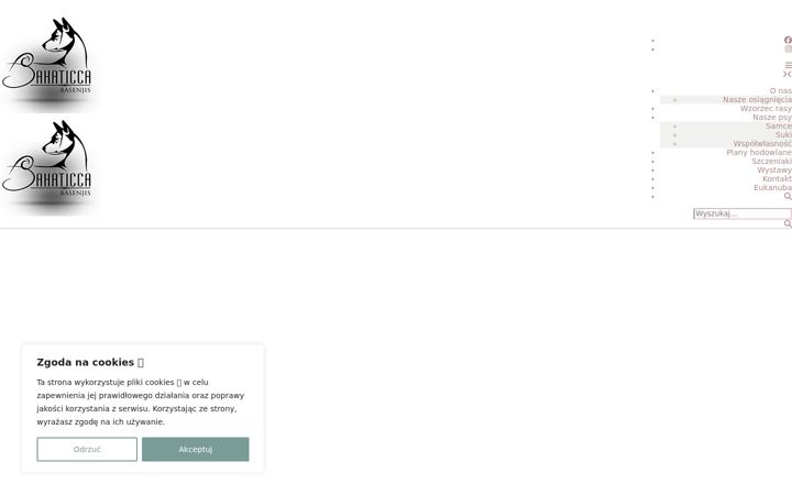 Screenshot of bahaticca.com