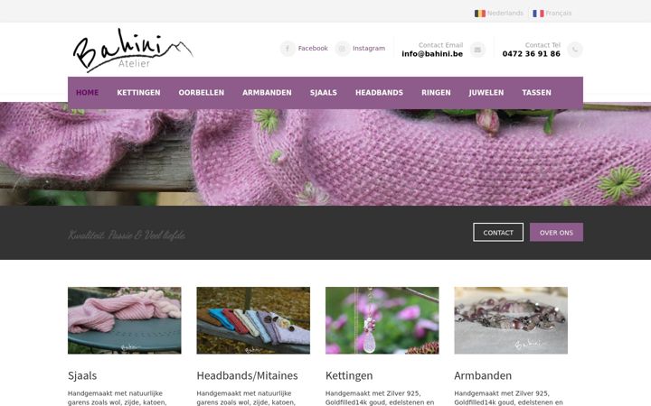 Screenshot of bahini.be