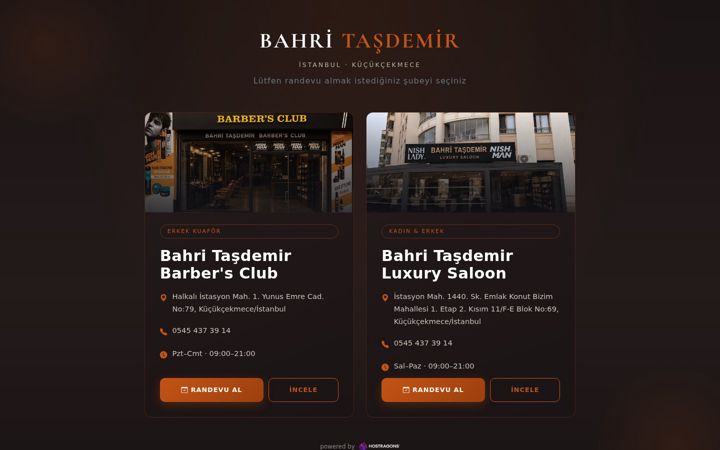 Screenshot of bahritasdemir.com