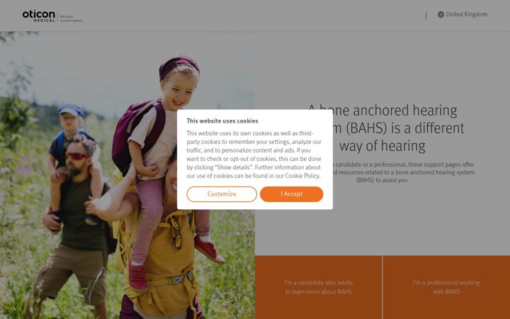 Screenshot of bahsjourney.com