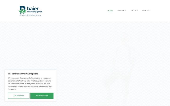 Screenshot of baier-consulting.ch