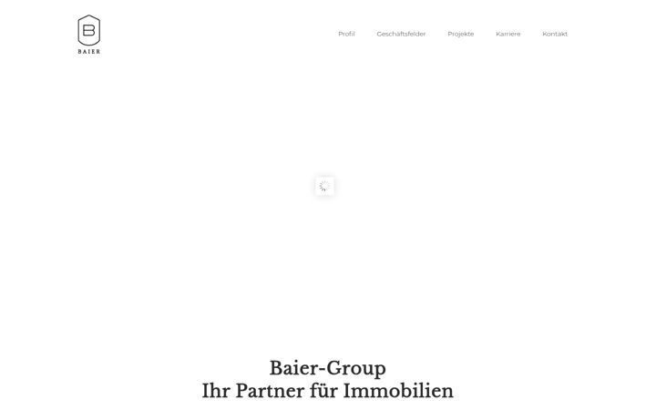 Skjermbilde av baier-group.de