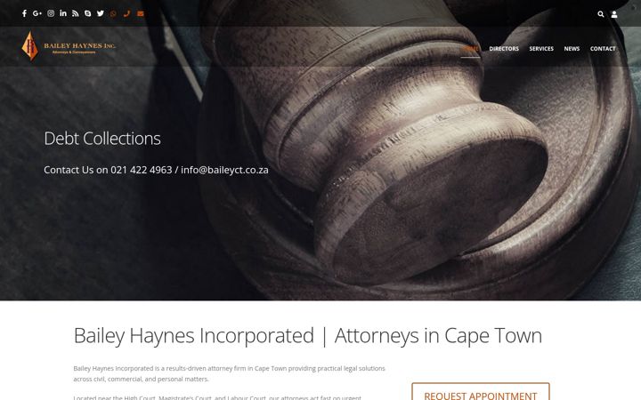 Skærmbillede af baileyhaynes.co.za