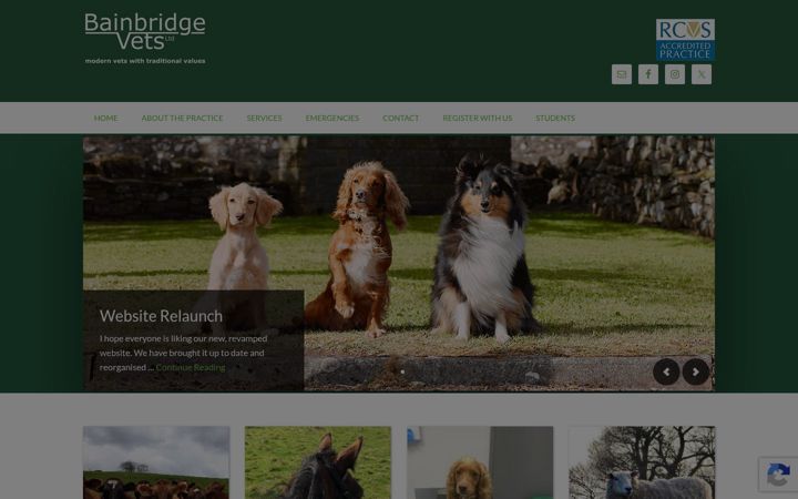 Screenshot ta' bainbridgevets.co.uk