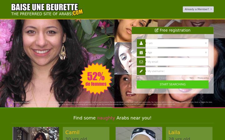 Screenshot of baiseunebeurette.com
