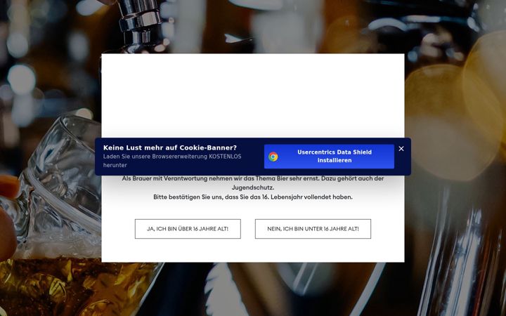 Screenshot of baisinger.de