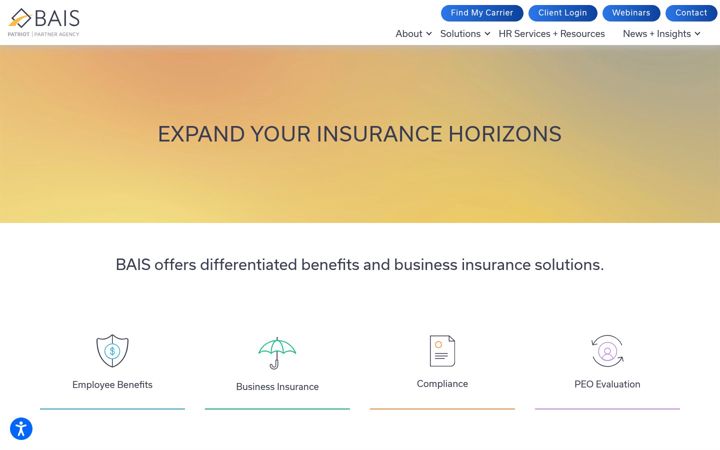 Screenshot of baisins.com