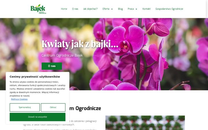 Screenshot of bajek.pl