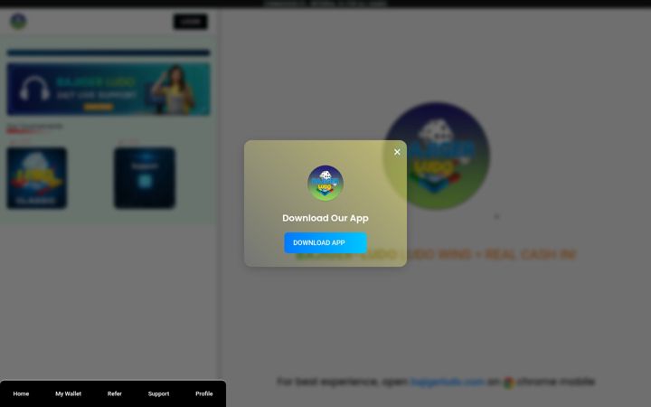 Screenshot of bajigerludo.com