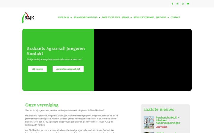 Capture d'écran de bajk.nl