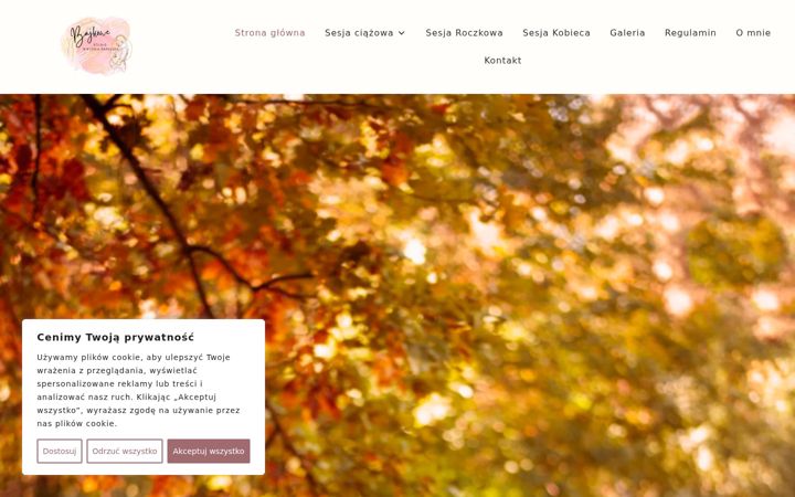 Screenshot of bajkowestudio.pl