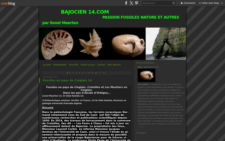 Screenshot of bajocien14.com