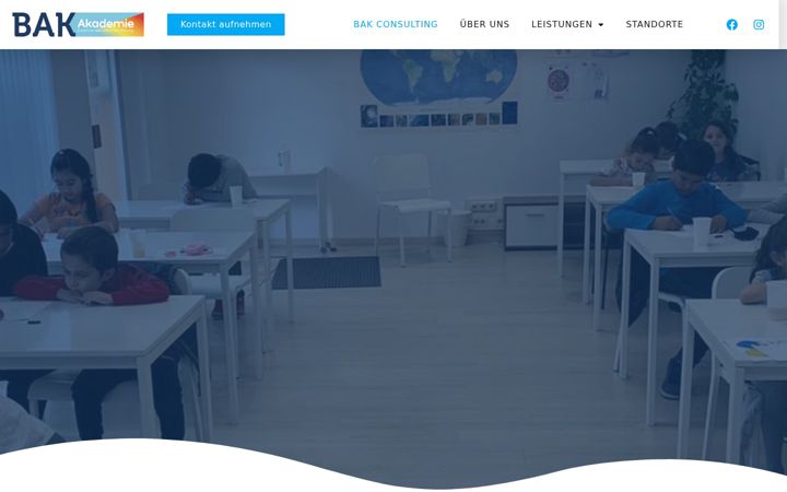 Screenshot stránky bak-consulting.de
