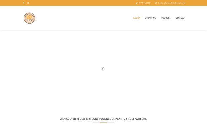 Screenshot of bakenflakes.ro