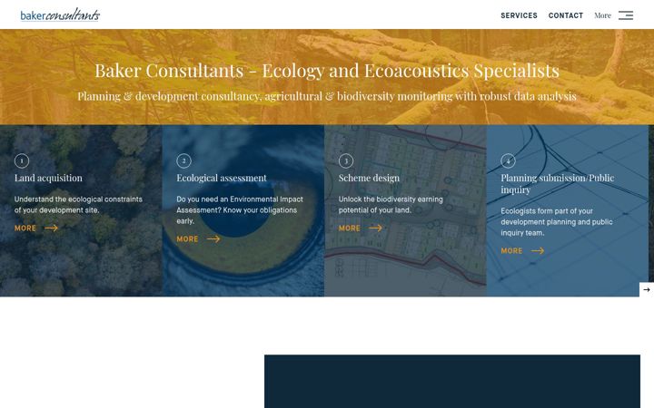 Screenshot of bakerconsultants.co.uk