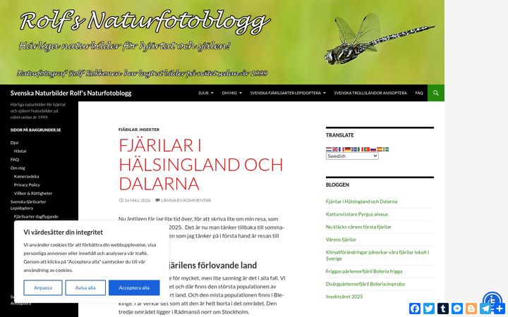 Screenshot of bakgrunder.se