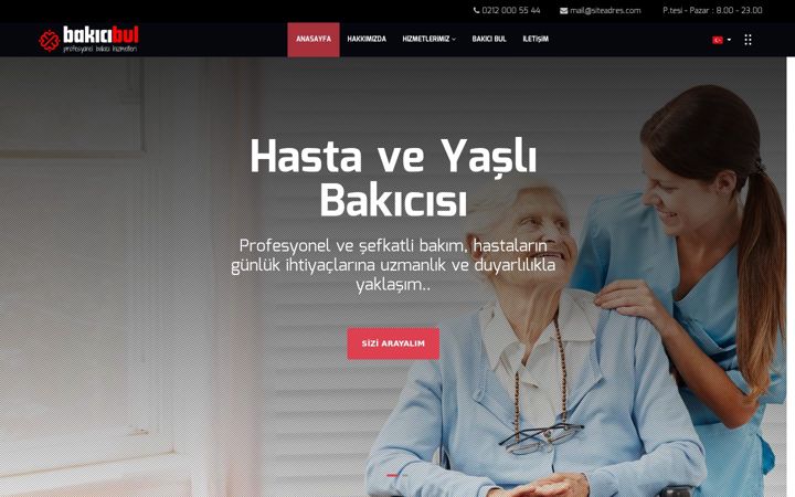 Screenshot of bakicibul.net.tr