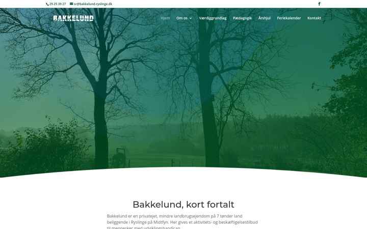Screenshot of bakkelund-ryslinge.dk