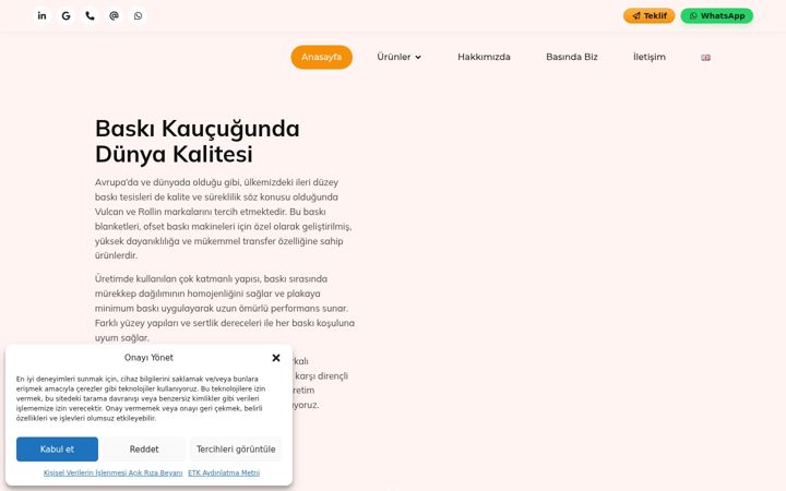 Skjermbilde av bakon.net