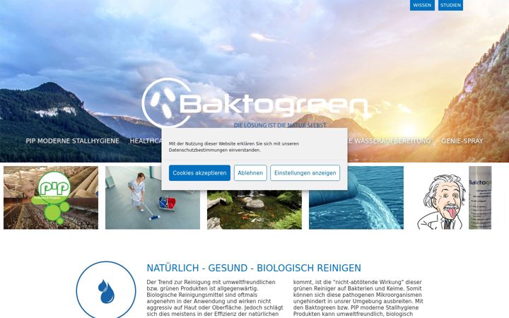 Screenshot of baktogreen.com
