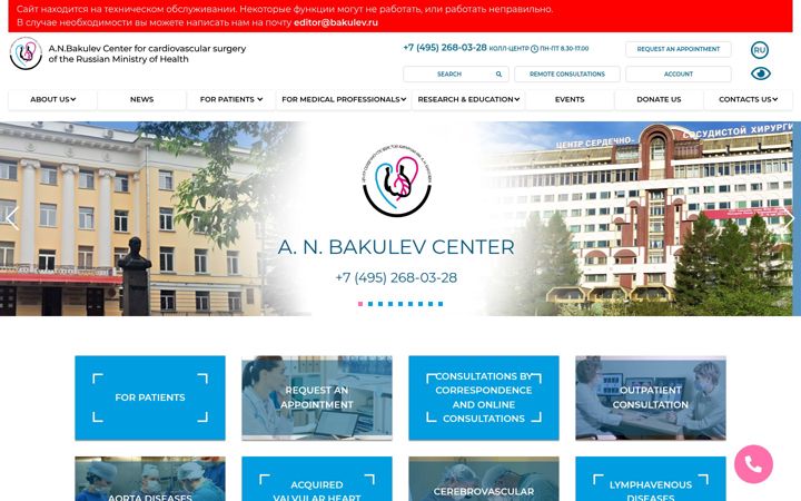 Screenshot of bakulev.com