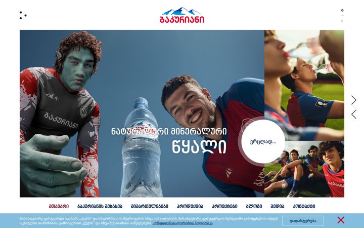 Screenshot of bakurianiwater.ge
