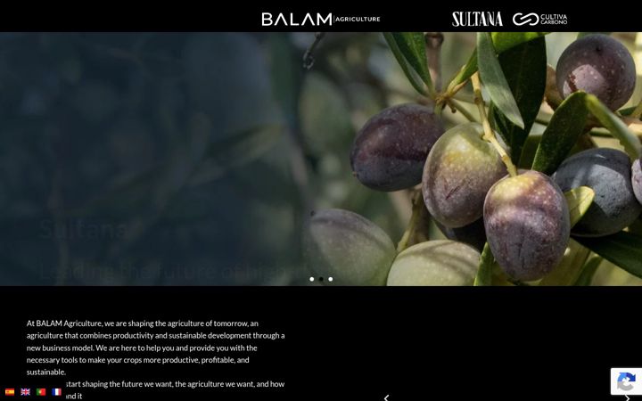 Screenshot of balam.es