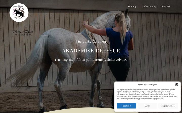 Screenshot of balancedequineart.dk