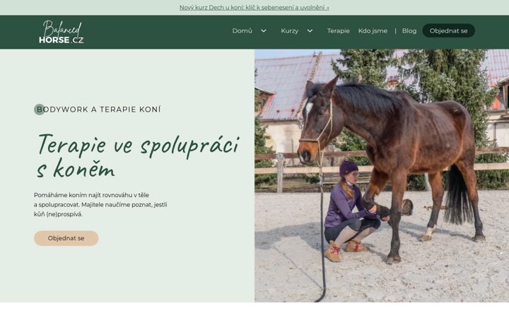 Screenshot of balancedhorse.cz