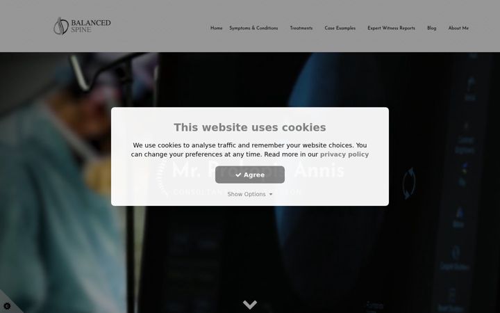 Screenshot of balancedspine.co.uk