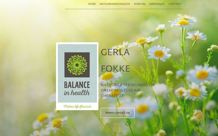 Snímek obrazovky balanceinhealth8.nl