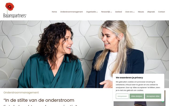 Screenshot of balanspartners.nl