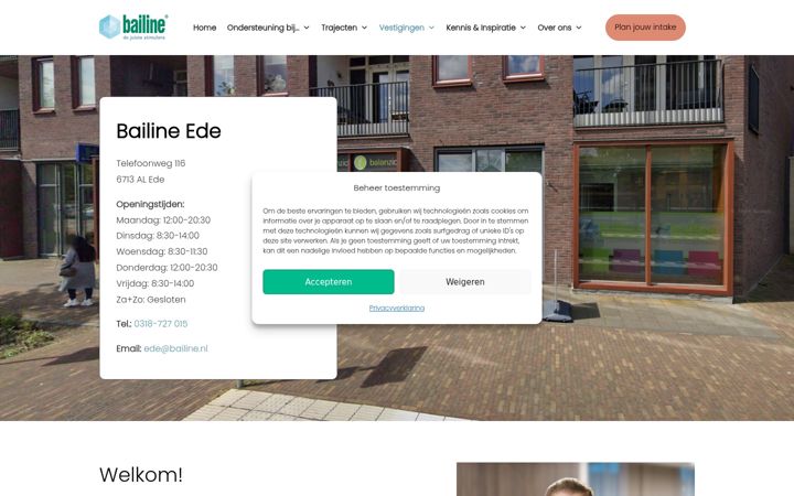 Screenshot of balanzic.nl