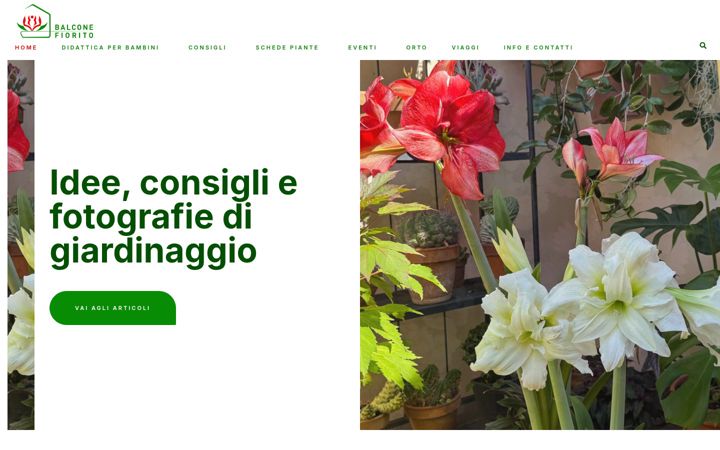 Screenshot of balconefiorito.net