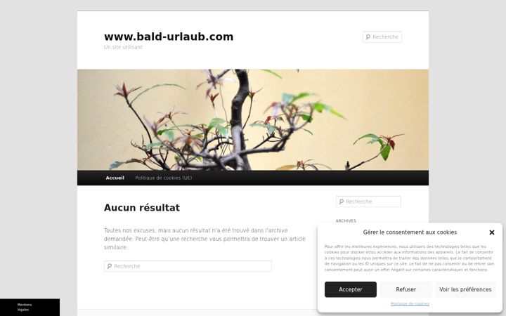 Screenshot of bald-urlaub.com