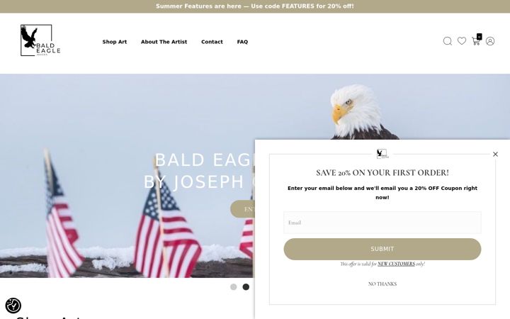 Screenshot of baldeagleimages.com