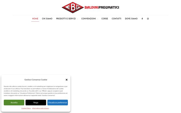 Skjámynd af baldinigomme.it