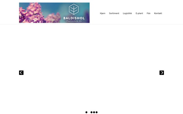 Screenshot of baldisholplanter.no