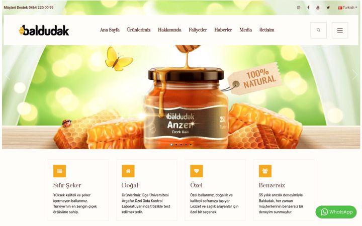 Screenshot of baldudak.com.tr