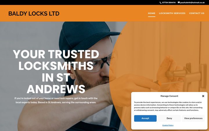 Screenshot of baldylocksltd.co.uk
