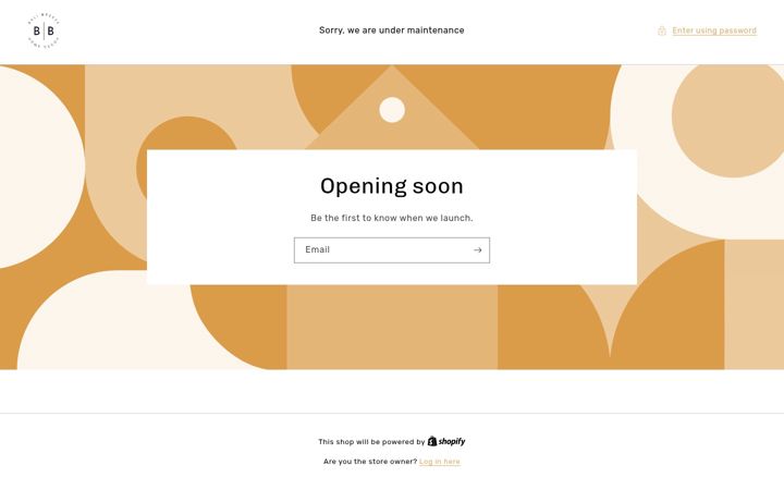 Screenshot of balibreezehomedecor.com