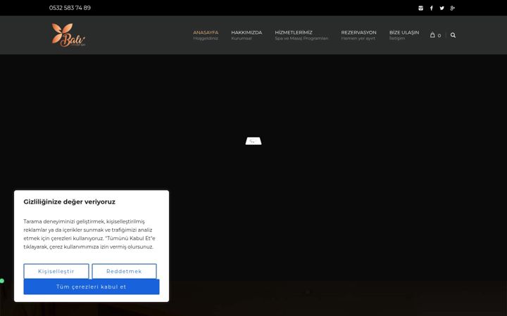 Screenshot of baliconceptspa.com