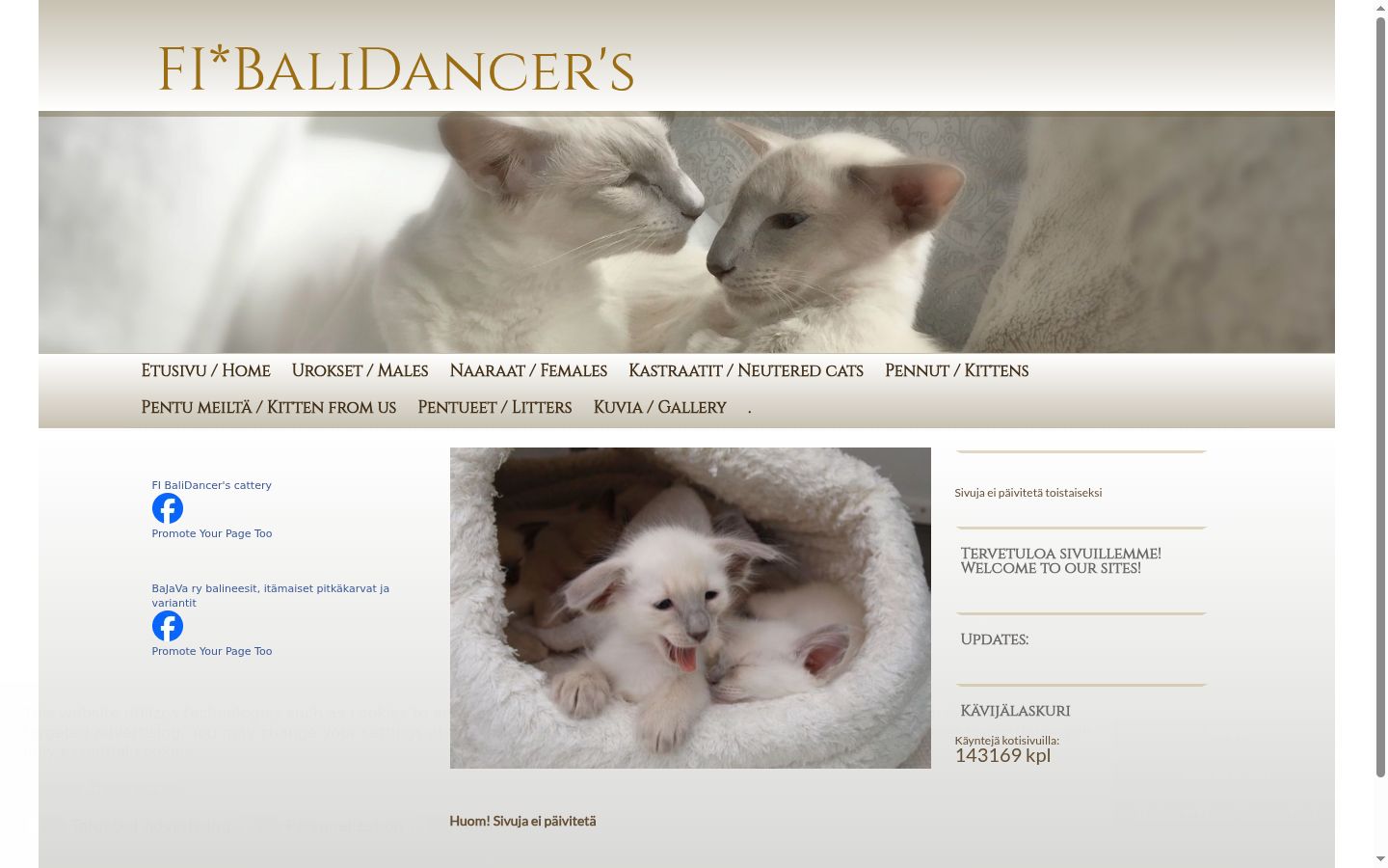 Screenshot tal-banner tal-kunsens muri qabel kwalunkwe interazzjoni