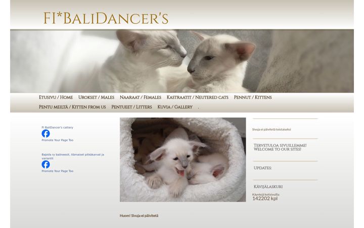 Screenshot of balidancers.fi